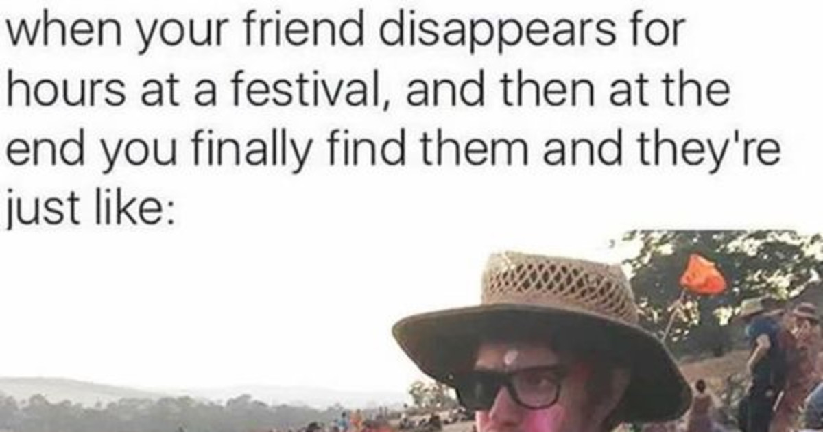 25 Memes That Perfectly Describe Festival Season