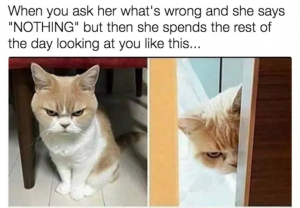 23 Memes For People Who Have Zero Chill