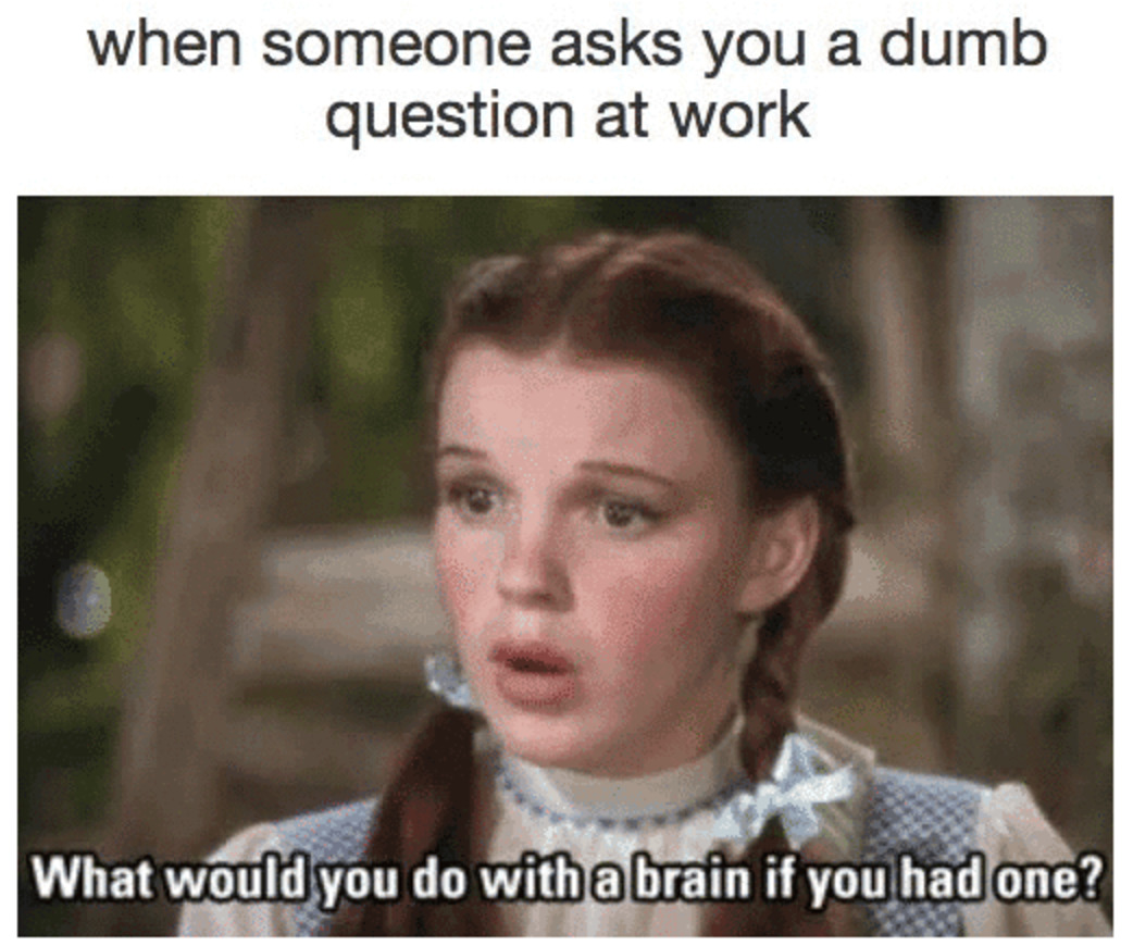 If You Hate Your Co Workers These 25 Memes Are For You