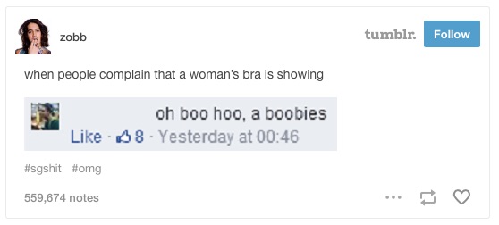 Can someone please explain why so many people had a problem with this? Is  it the boobs joke? I'm so confused. : r/VaushV