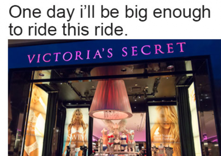23 Memes Any Girl With Small Boobs Will Understand 23-memes-any-girl-with-small-boobs-will-understand
