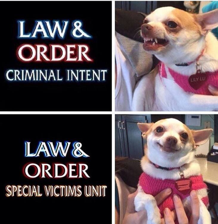 Just 45 Posts About 'Law & Order: SVU' That'll Always Be Funny