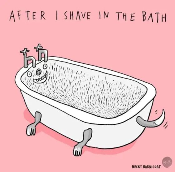 24 Memes About Shaving That Are So Funny, You'll Choke On Your Own Laughter