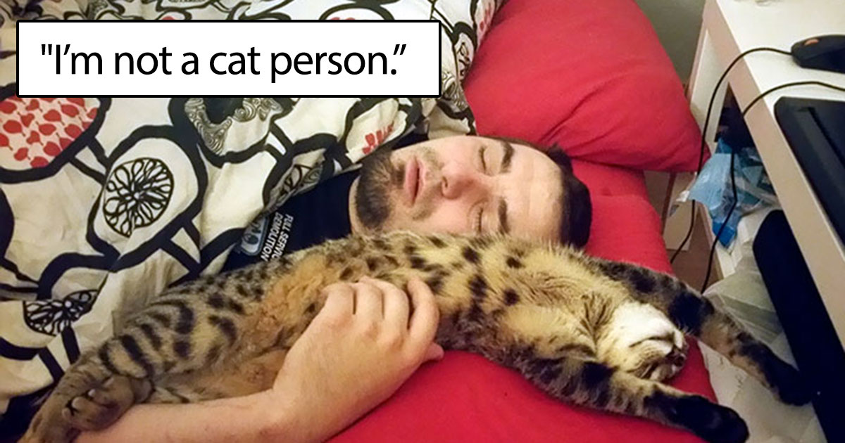 50 People Who Didn T Want A Cat And Now Love Them So Much