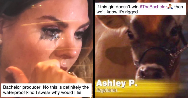 29 Of The Funniest Tweets About The Bachelor Premiere 2020