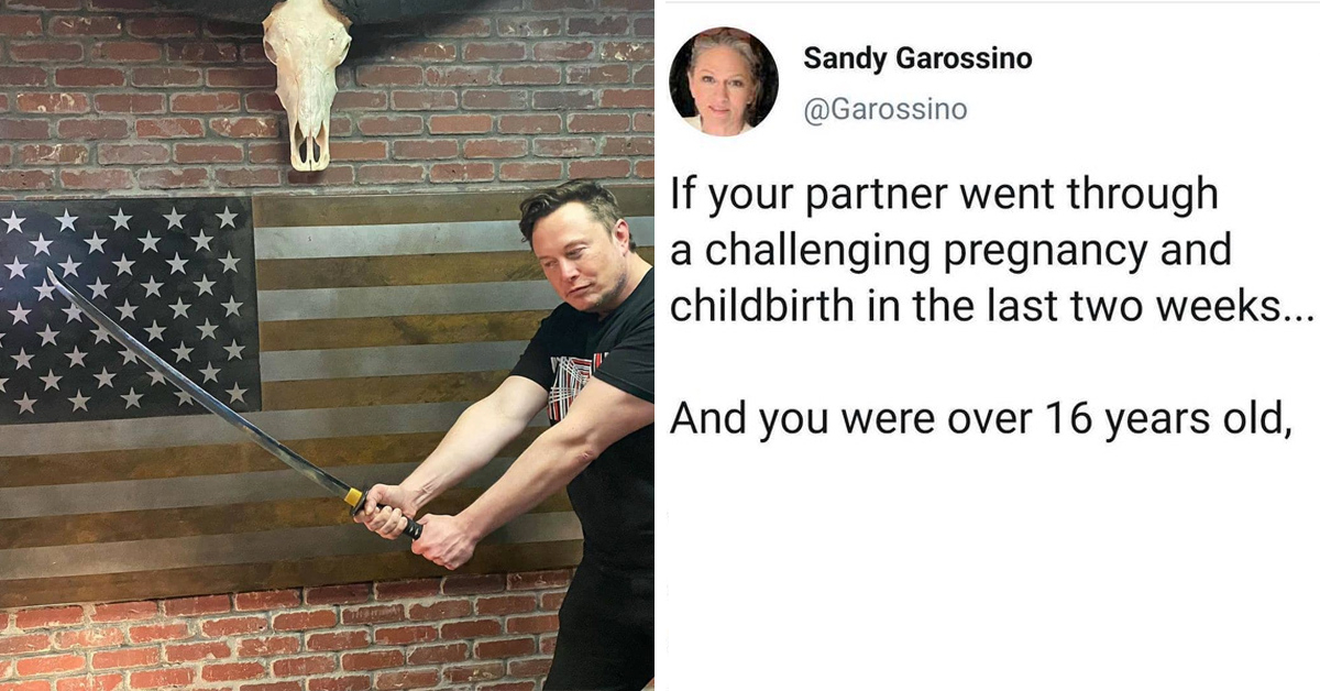 Grimes' Mom Tells Off Elon Musk For "Blaring MRA Bulls**t"