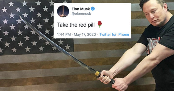 Grimes' Mom Tells Off Elon Musk For "Tweeting MRA Bull***"